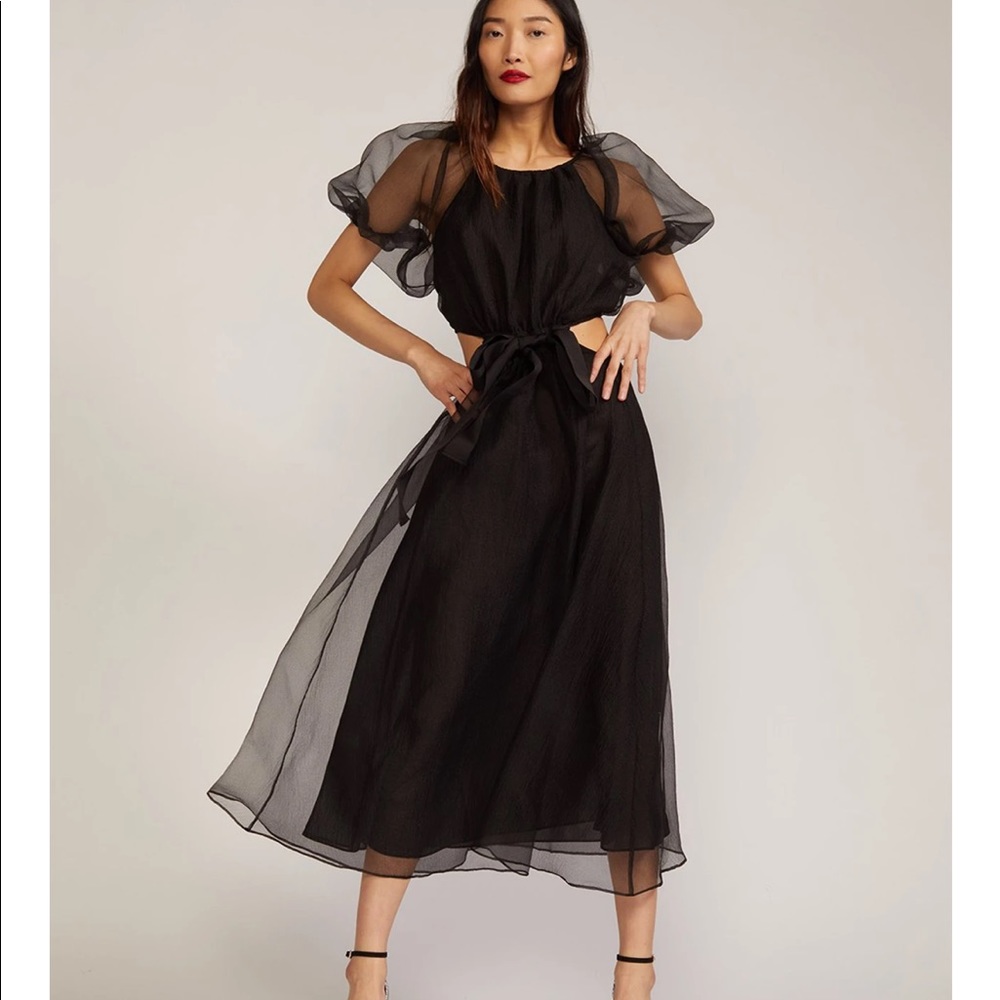 Cynthia Rowley Black Organza Dress - Gorgeous!
